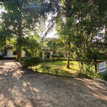 Clover Grange Home Stay 马特莱 外观 照片